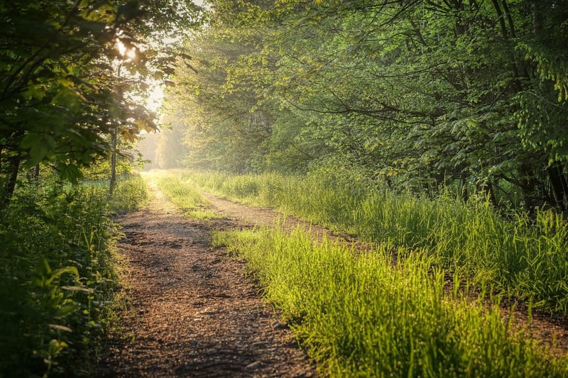 Unconventional Paths