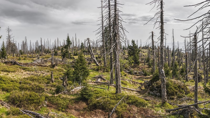 Sustainability Initiatives